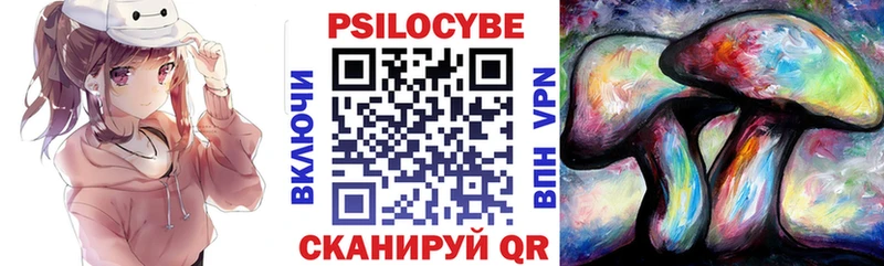 Псилоцибиновые грибы мицелий  Сунжа 